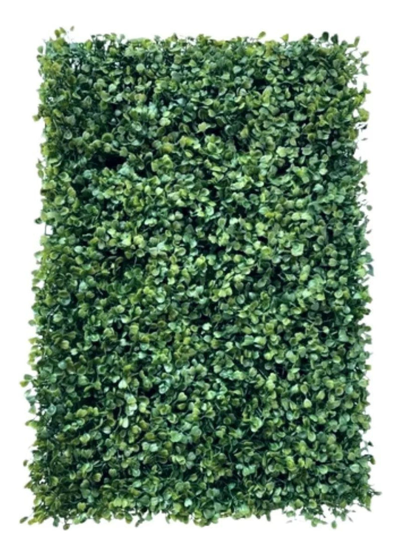 Placa De Grama Buchinho 40x60 Jardim Vertical Artificial