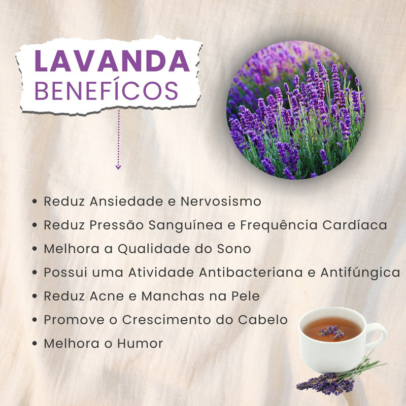 2 Mudas Lindas De Lavanda  Alfazema Bem Formada