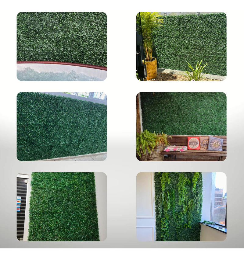 Placa De Grama Buchinho 40x60 Jardim Vertical Artificial