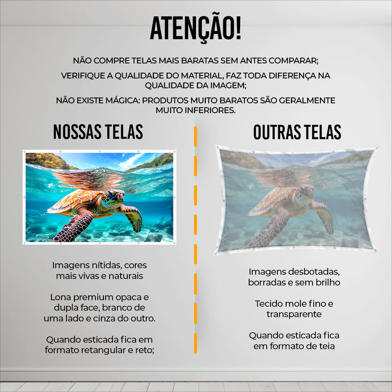 Telão De Projeção 150 Polegadas Datashows E Projetor