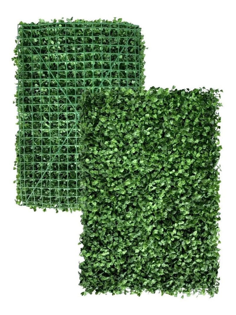 Placa De Grama Buchinho 40x60 Jardim Vertical Artificial