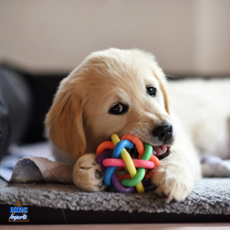 Kit 6 Brinquedos Para Filhote Cachorro Pet Mordedor