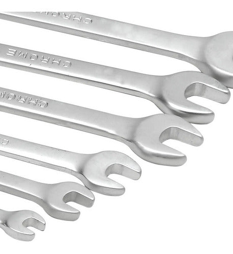 Jogo Chave Combinada 6pcs 6-17mm Com Suporte Mtx 154029