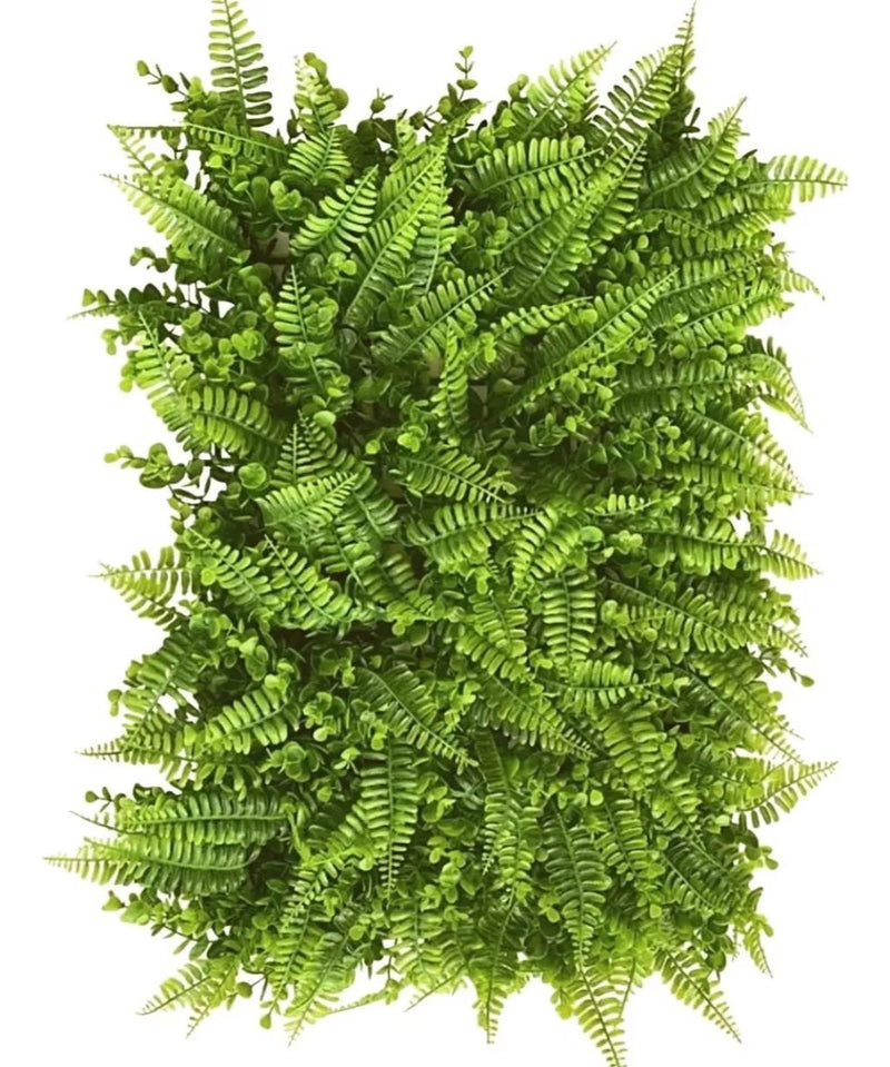 Placa De Samambaia Eucalipto 40x60 Muro Ingles Premium