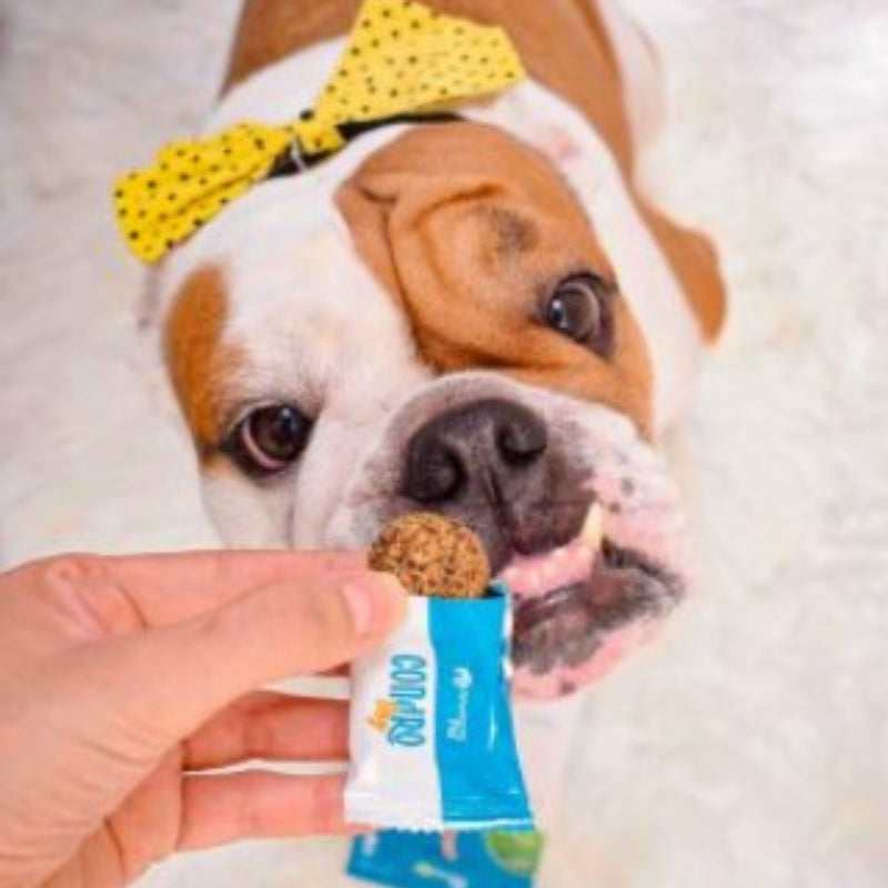 Suplemento Cães Condro Dog Botupharma - 210g