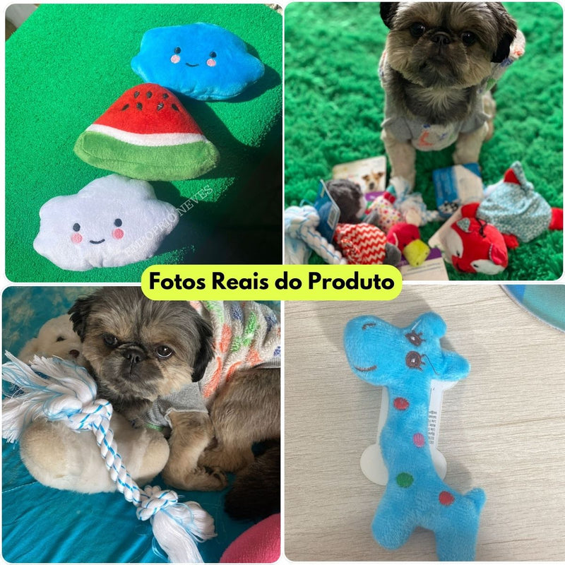3 Brinquedos Mordedores Para Cães Shitzu Pinscher Yorkshire