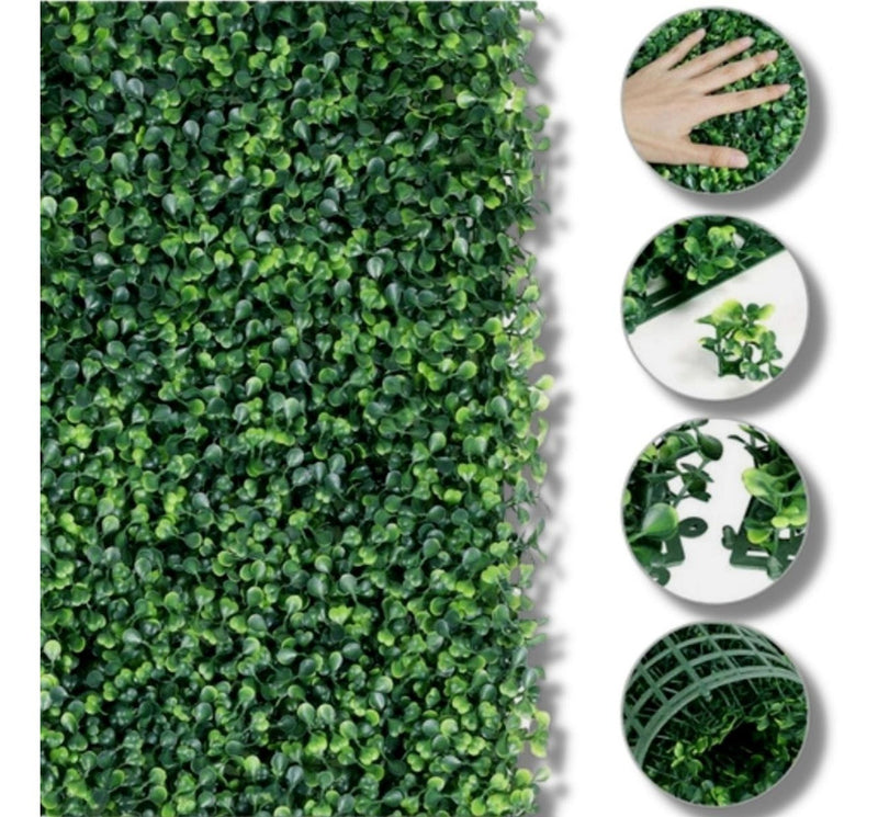 Placa De Grama Buchinho 40x60 Jardim Vertical Artificial