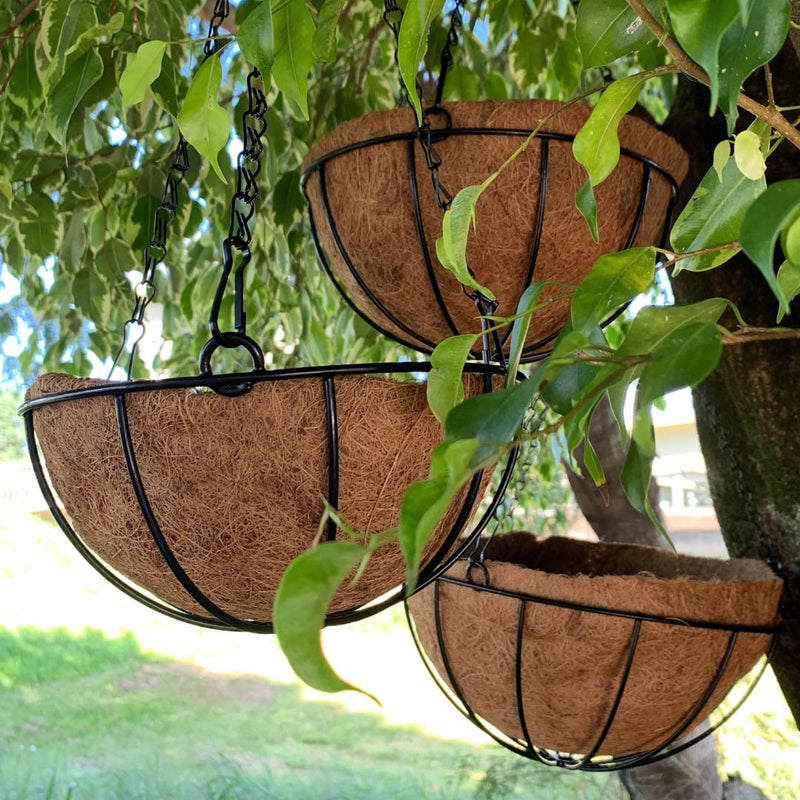 Vaso Fibra De Coco Suspenso 40cm Com Suporte Para Jardim