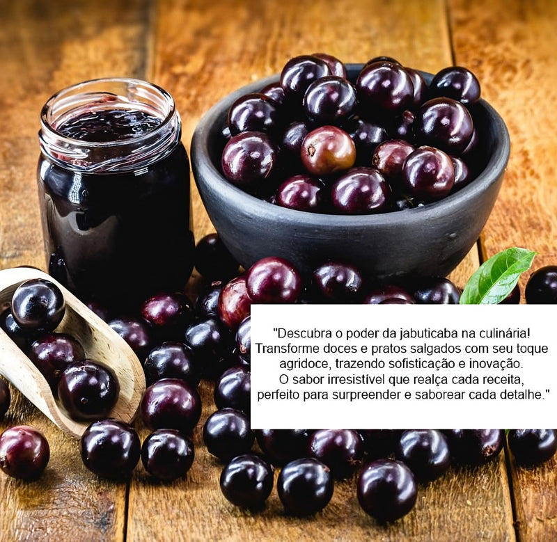 Muda De Jabuticaba Hibrida Precoce Produzindo