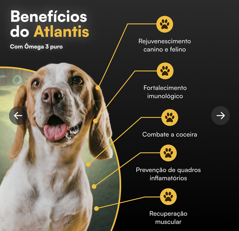 Atlantis Ômega 3 Líquido 300ml, Suplemento para Pets, Petvi