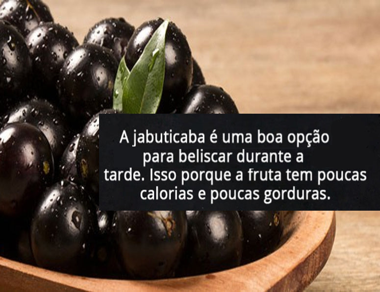 Muda De Jabuticaba Hibrida Precoce Produzindo