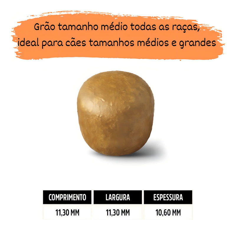 Alimento Special Dog Premium para cão adulto todos os tamanhos sabor carne em sacola de 20kg