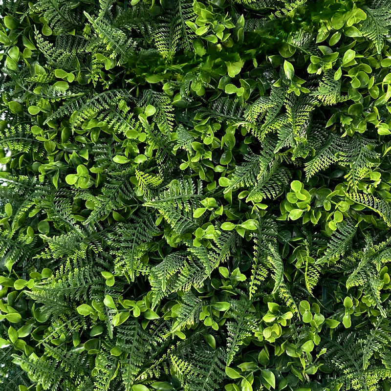 Placa De Mini Samambaia Eucalipto 40x60 Jardim Vertical Luxo
