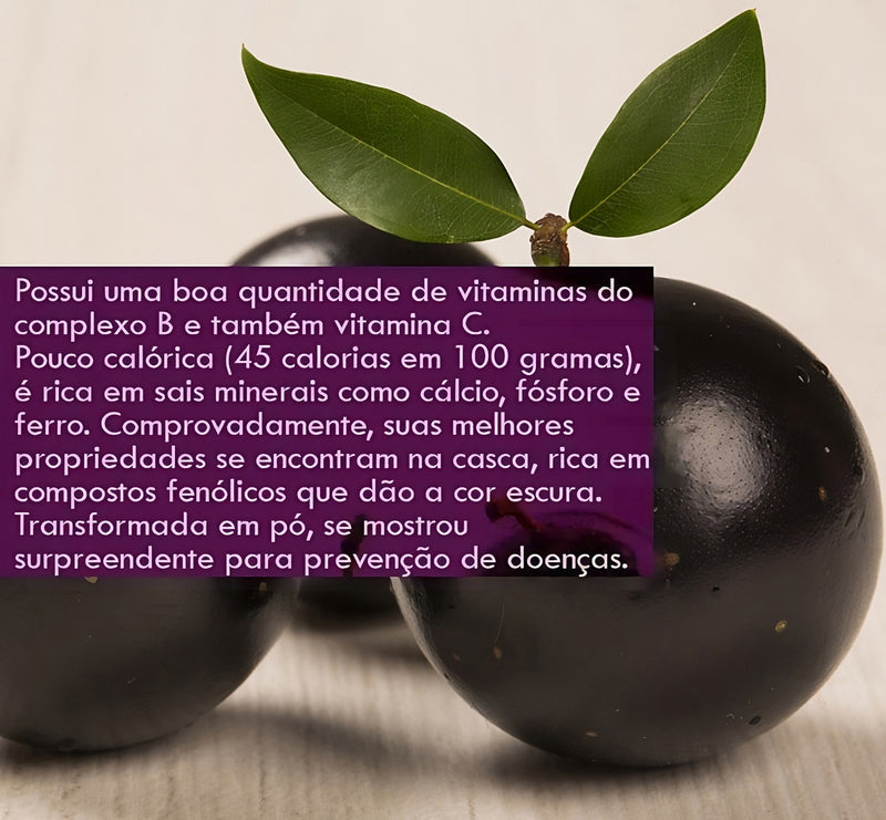 Muda De Jabuticaba Hibrida Precoce Produzindo