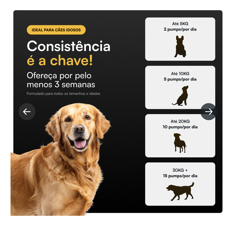 Atlantis Ômega 3 Líquido 300ml, Suplemento para Pets, Petvi