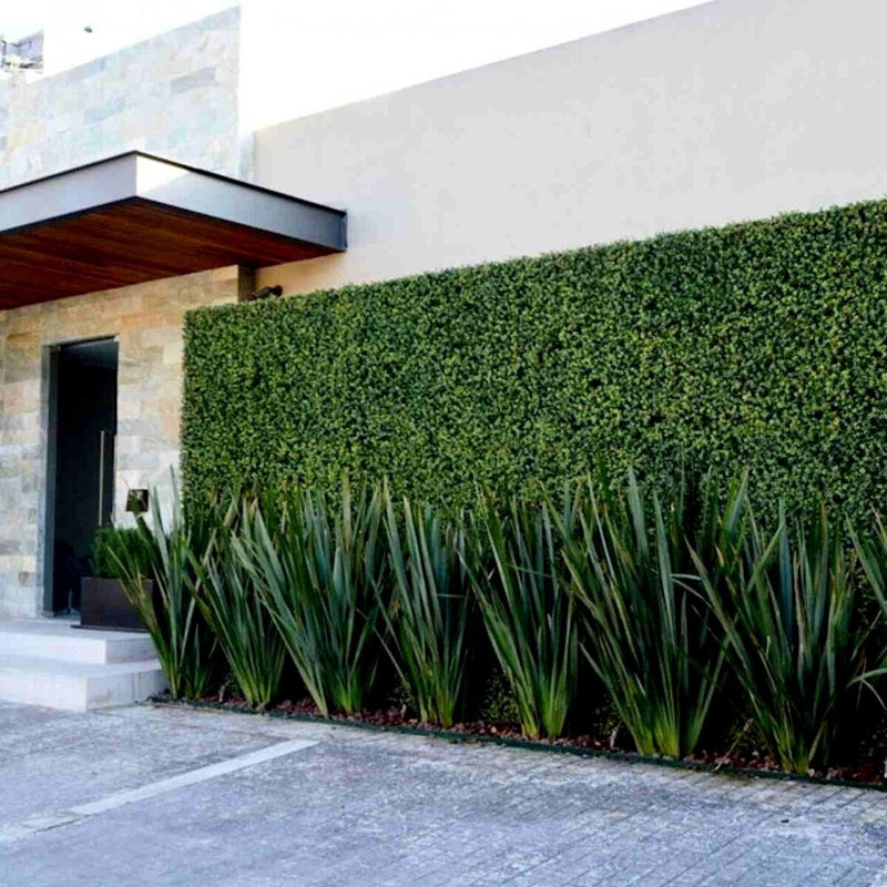 Placa De Grama Buchinho 40x60 Jardim Vertical Artificial