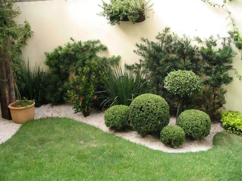 Plastimais Separador Grama Limitador Jardim Borda 10cm X 50m Nacional Cor Verde-escuro