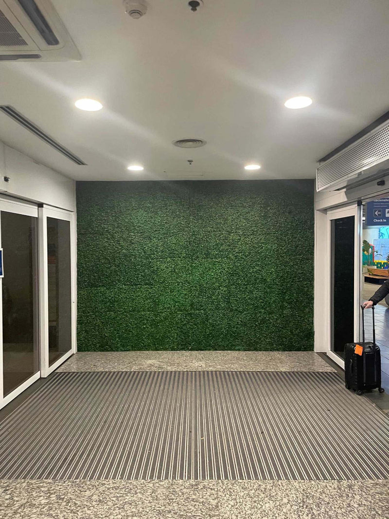 Placa De Grama Buchinho 40x60 Jardim Vertical Artificial