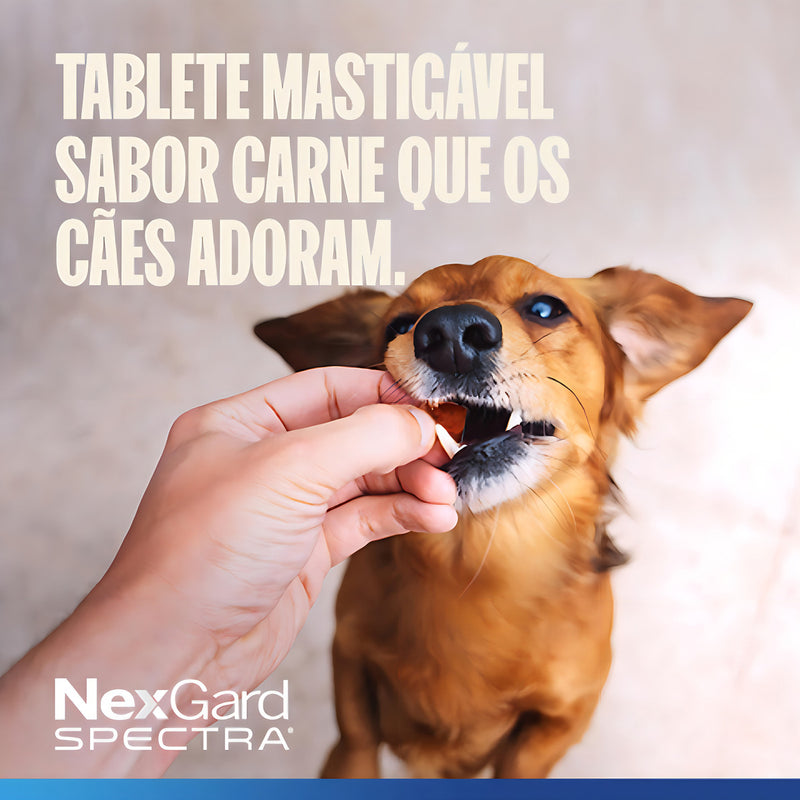 Nexgard Spectra P/ Cães De 7,6kg a 15kg C/1 Tablete