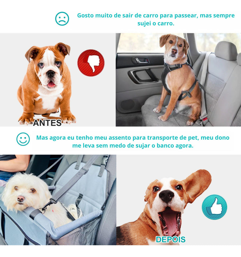 Cadeira Cadeirinha Assento De Pet Carro Transporte Cão Gato Cor Preto