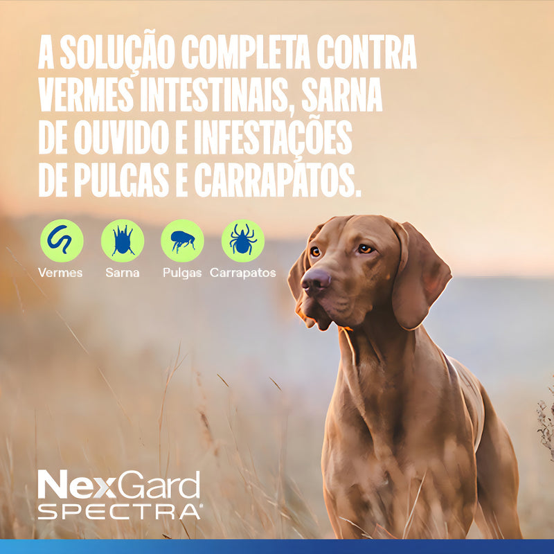 Nexgard Spectra P/ Cães De 7,6kg a 15kg C/1 Tablete