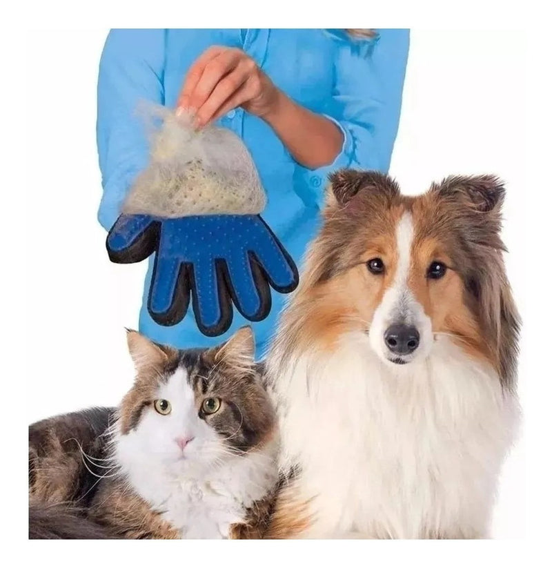 Kit Lava Pet Escova Banho Cachorro Gato Dispenser + Luva Cor Diversas