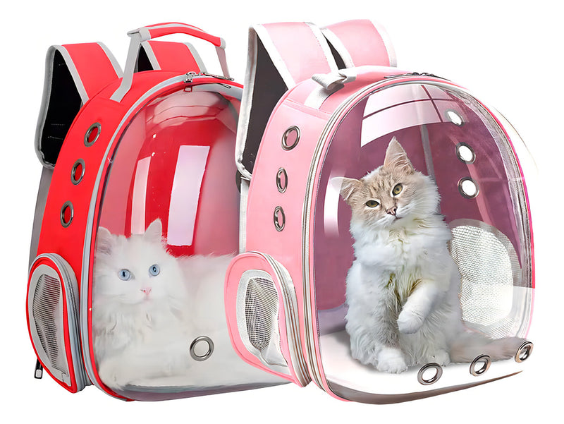 Mochila Para Carregar Gatos Com Capsula Bolha Transparente Cor Cinza