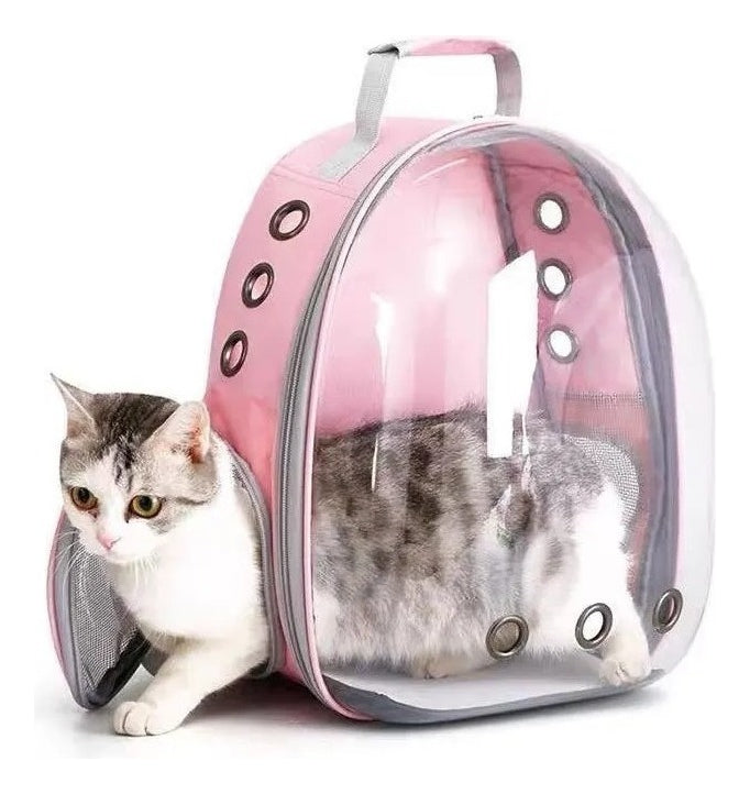 Mochila Para Carregar Gatos Com Capsula Bolha Transparente Cor Cinza