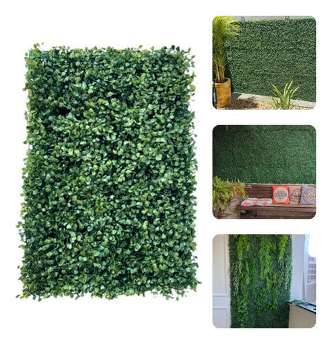 Placa De Grama Buchinho 40x60 Jardim Vertical Artificial