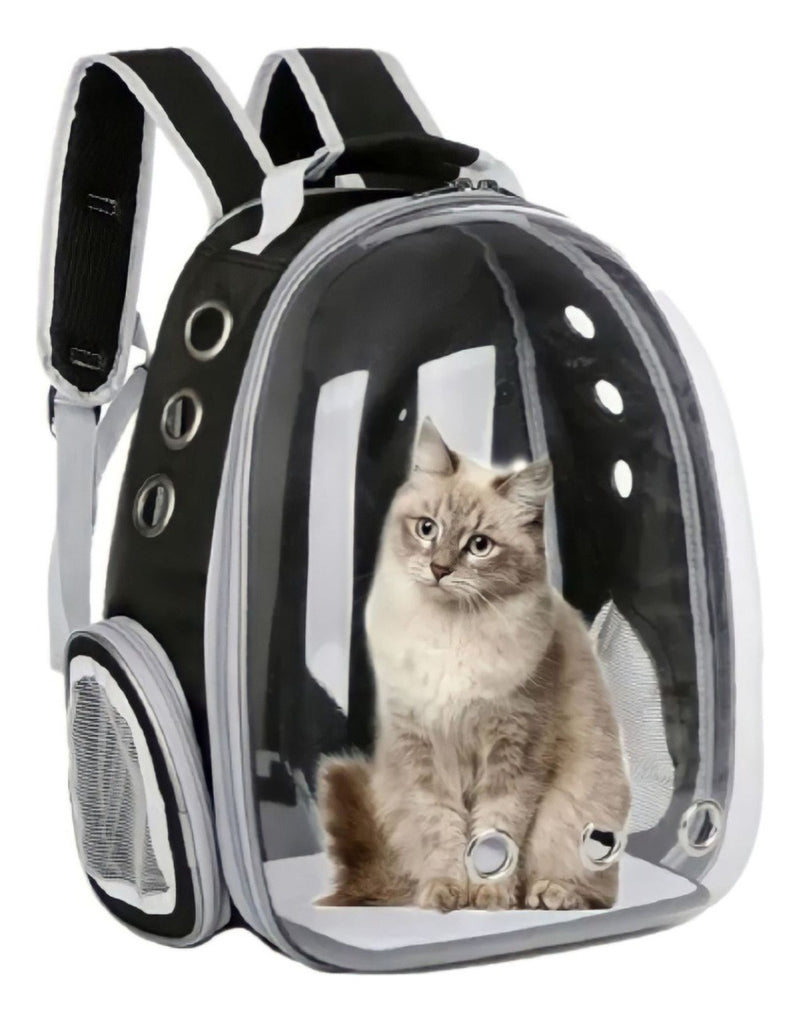 Mochila Pet visão panorâmica inteligente segurança ventilação cor preto com conforto premium