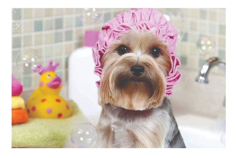 100 Gravatinhas Pet Shop Banho E Tosa Lindas Baratas Atacado