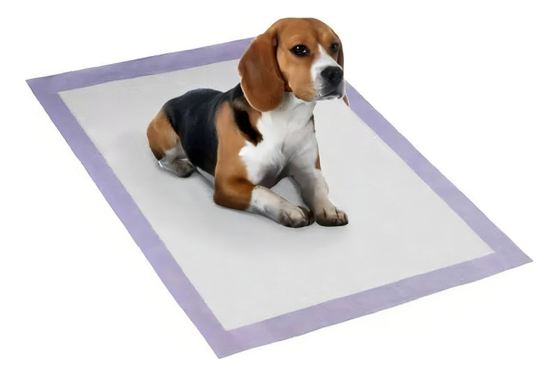 Petlike tapete higiênico para cães ultra pads lavanda 80cm x 60cm com 30 unidades