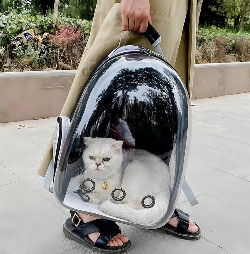 Mochila Para Carregar Gatos Com Capsula Bolha Transparente Cor Cinza