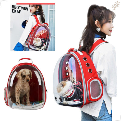 Mochila Para Carregar Gatos Com Capsula Bolha Transparente Cor Cinza