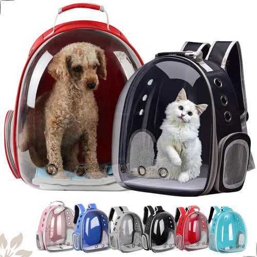 Mochila Para Carregar Gatos Com Capsula Bolha Transparente Cor Cinza