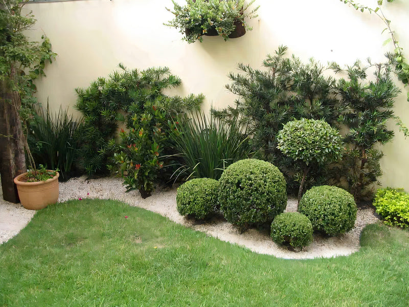 Limitador de Grama 25m Separador Jardim Divisor Verde