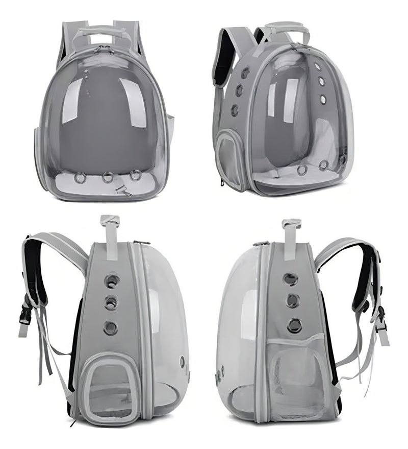 Mochila Pet visão panorâmica inteligente segurança ventilação cor preto com conforto premium