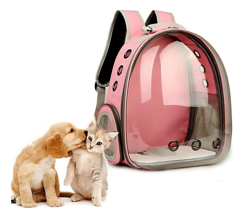 Mochila Para Carregar Gatos Com Capsula Bolha Transparente Cor Cinza