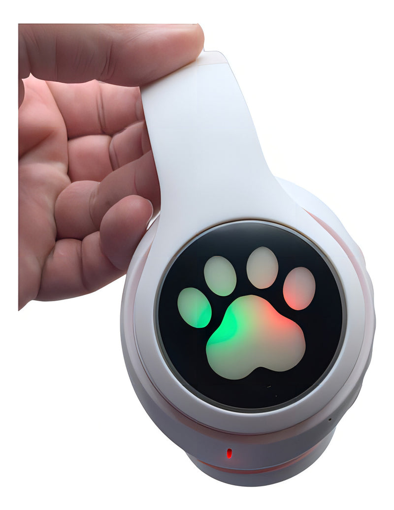 Fone Gatinho Sem Fio Com Led Bluetooth Infantil Meninas Gato