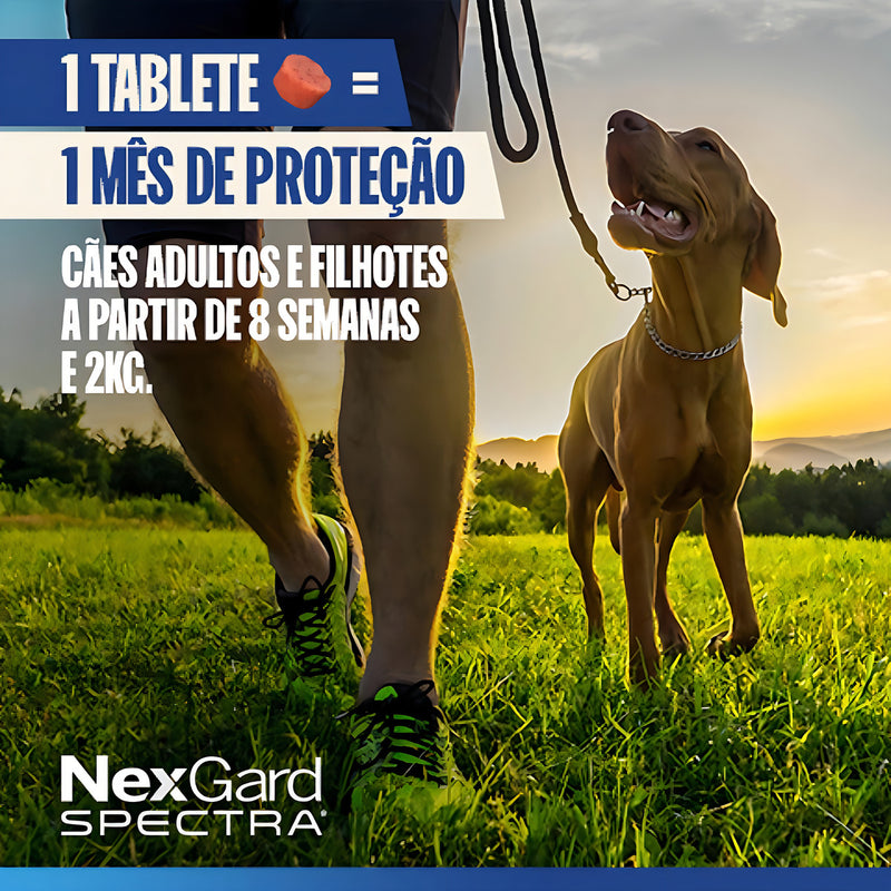 Nexgard Spectra P/ Cães De 7,6kg a 15kg C/1 Tablete