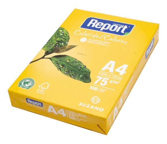 Report A4 Multifunção De 500 Folhas De 75g Branco De 5 Unidades Por Kit