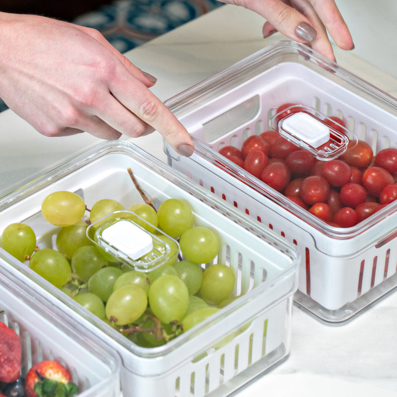 Organizador De Geladeira Ervas Frutas Legumes Clear Fresh Com Cesto 2,2l Ou OF 450