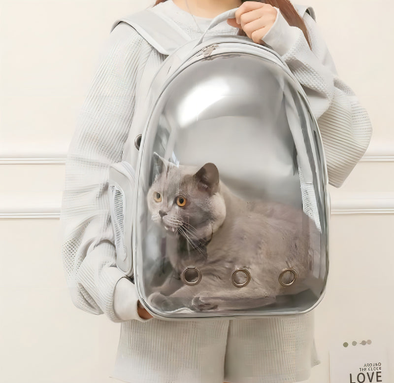 Mochila Pet visão panorâmica inteligente segurança ventilação cor preto com conforto premium