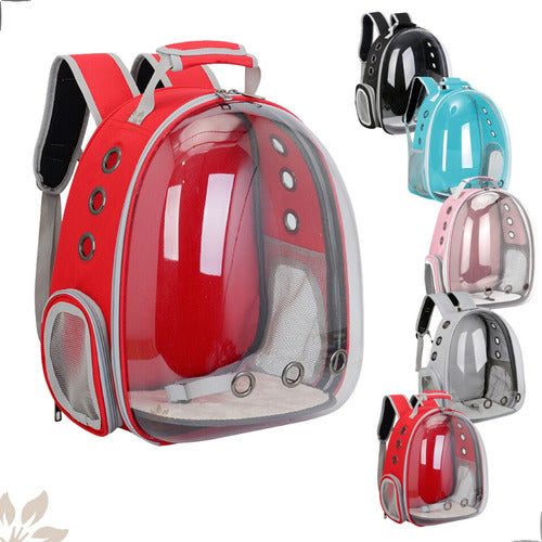 Mochila Para Carregar Gatos Com Capsula Bolha Transparente Cor Cinza